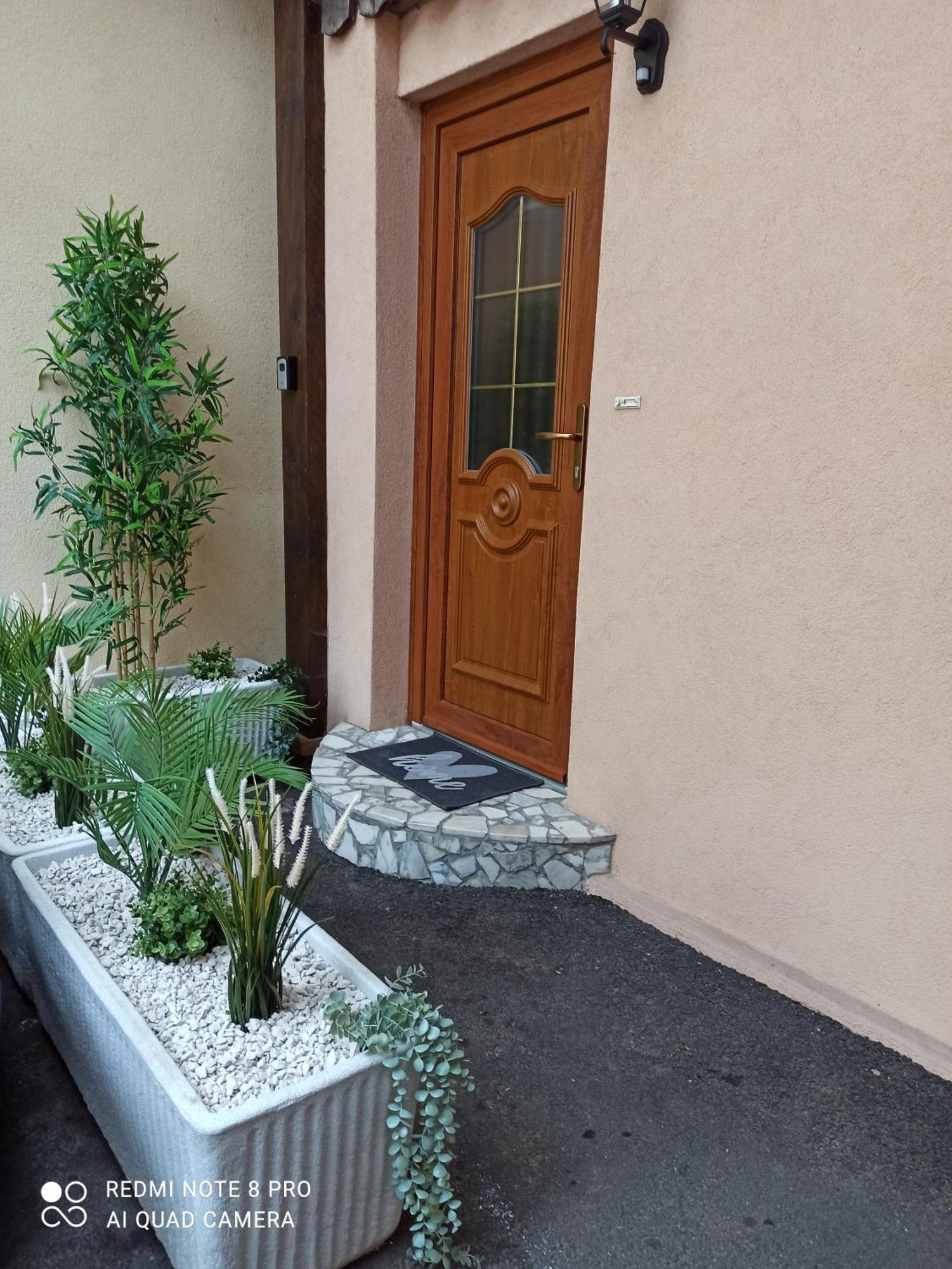 Ferienwohnung Le Bien Vivre Wittenheim Exterior foto
